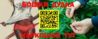 индика Ливны