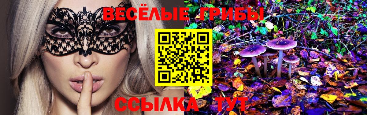 Псилоцибиновые грибы ЛСД Гудермес