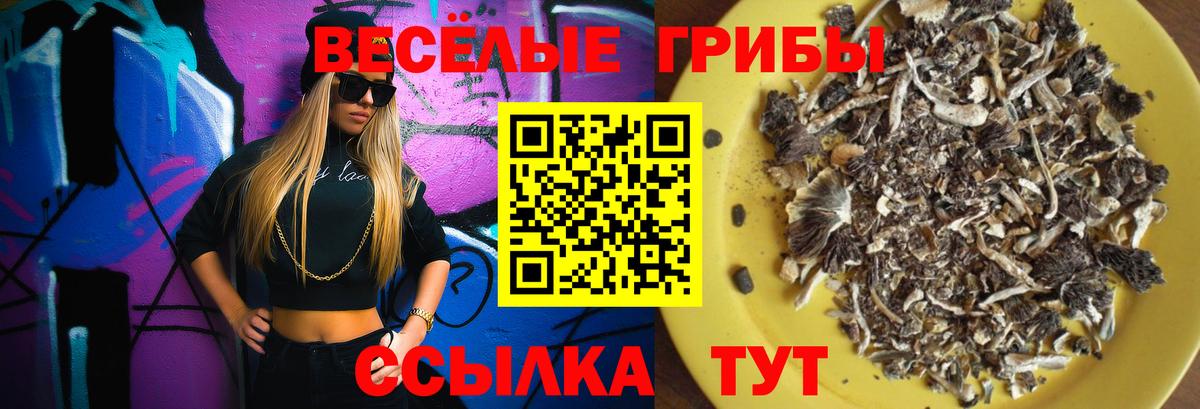 Галлюциногенные грибы Magic Shrooms  Вход с VPN  Гудермес  Галлюциногенные грибы ЛСД 